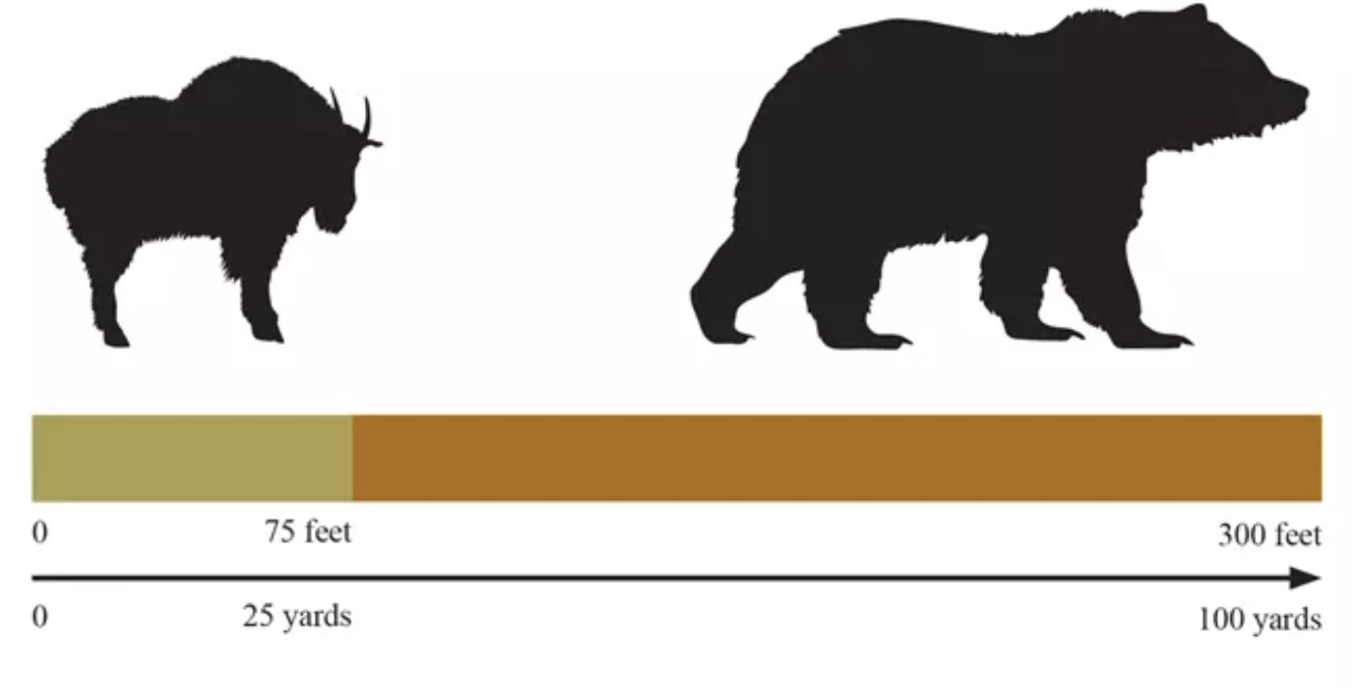 Wildlife Safety.
